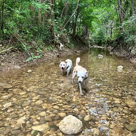 Italo & Anna Casa de hóspedes