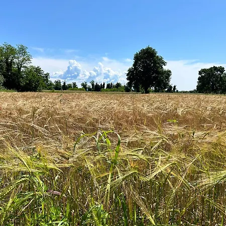 Italo & Anna Гостевой дом