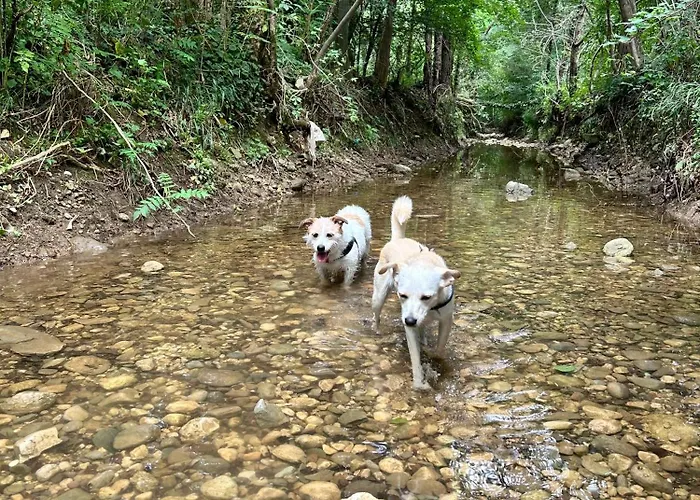 Italo & Anna Vendégház