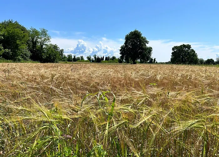 Italo & Anna Gasthof